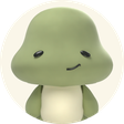 Torto